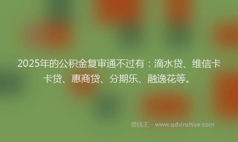 2025年的公积金复审通不过有：滴水贷、维信卡卡贷、惠商贷、分期乐、融逸花等。
