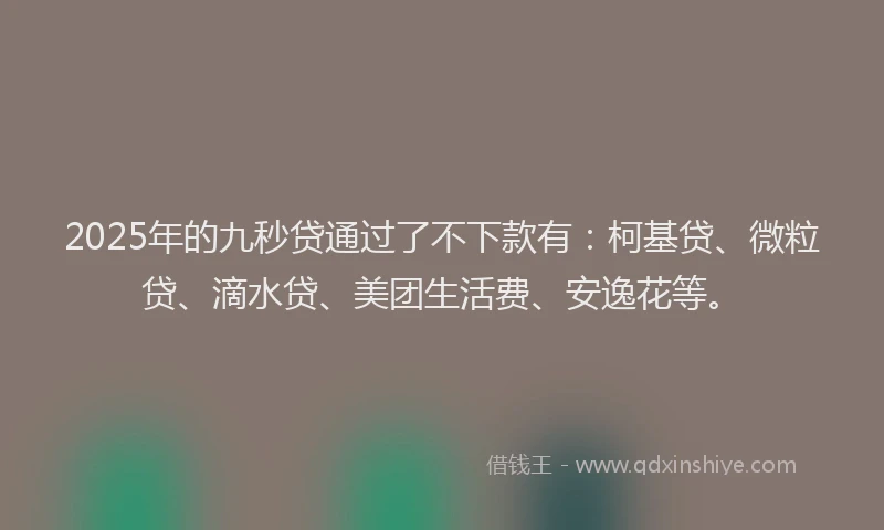 2025年的九秒贷通过了不下款有：柯基贷、微粒贷、滴水贷、美团生活费、安逸花等。