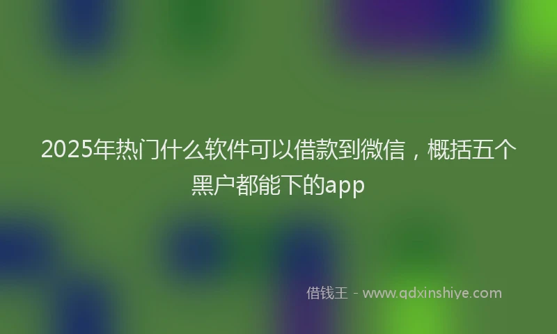 2025年热门什么软件可以借款到微信，概括五个黑户都能下的app