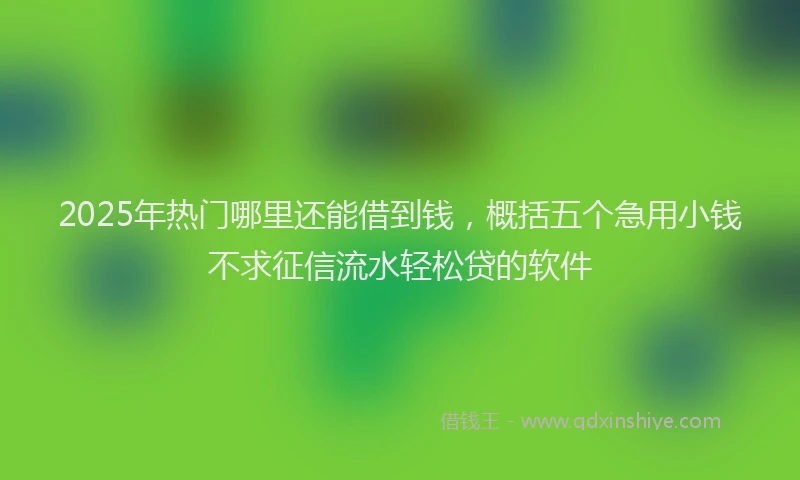 2025年热门哪里还能借到钱，概括五个急用小钱不求征信流水轻松贷的软件