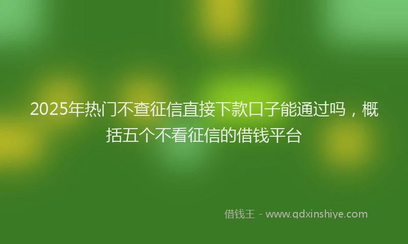 2025年热门不查征信直接下款口子能通过吗，概括五个不看征信的借钱平台