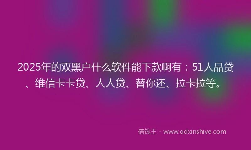 2025年的双黑户什么软件能下款啊有：51人品贷、维信卡卡贷、人人贷、替你还、拉卡拉等。