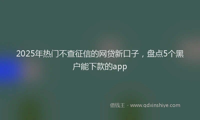 2025年热门不查征信的网贷新口子，盘点5个黑户能下款的app