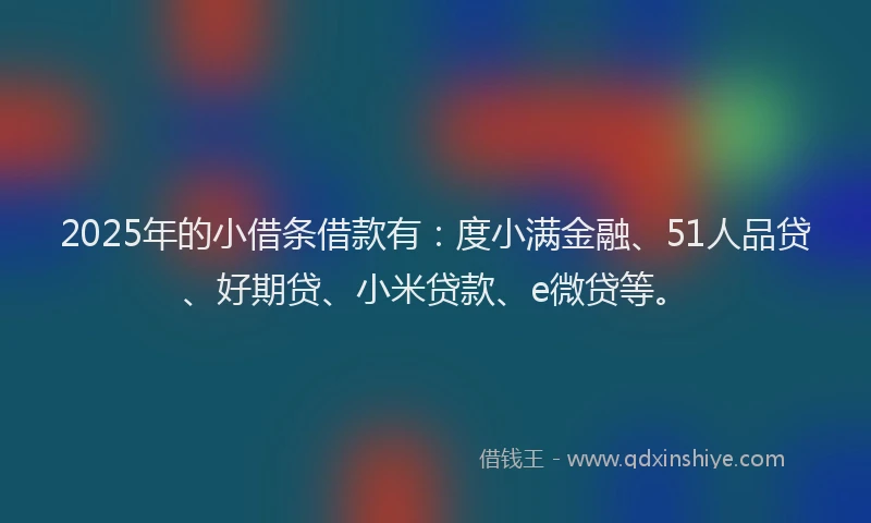 2025年的小借条借款有：度小满金融、51人品贷、好期贷、小米贷款、e微贷等。