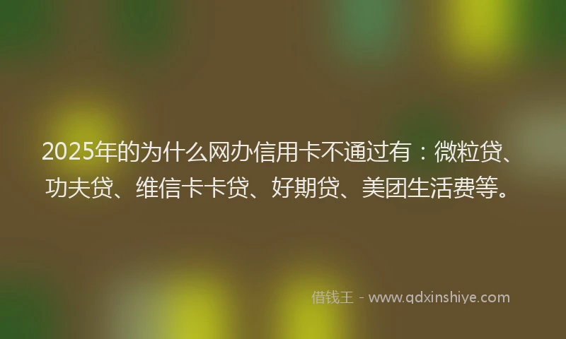 2025年的为什么网办信用卡不通过有：微粒贷、功夫贷、维信卡卡贷、好期贷、美团生活费等。