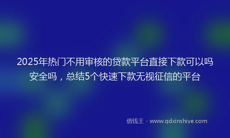 2025年热门不用审核的贷款平台直接下款可以吗安全吗，总结5个快速下款无视征信的平台