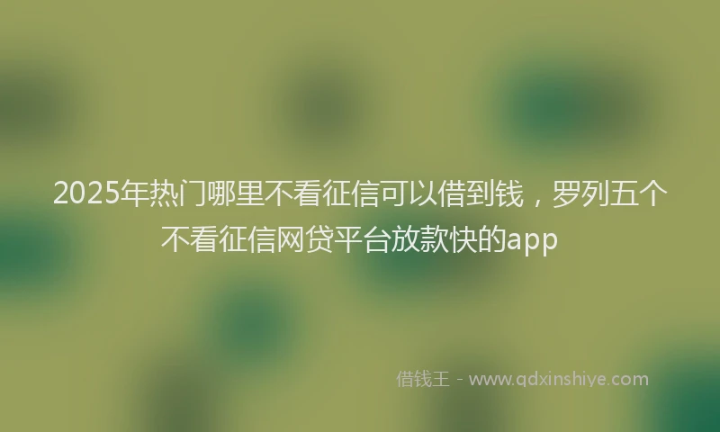 2025年热门哪里不看征信可以借到钱，罗列五个不看征信网贷平台放款快的app