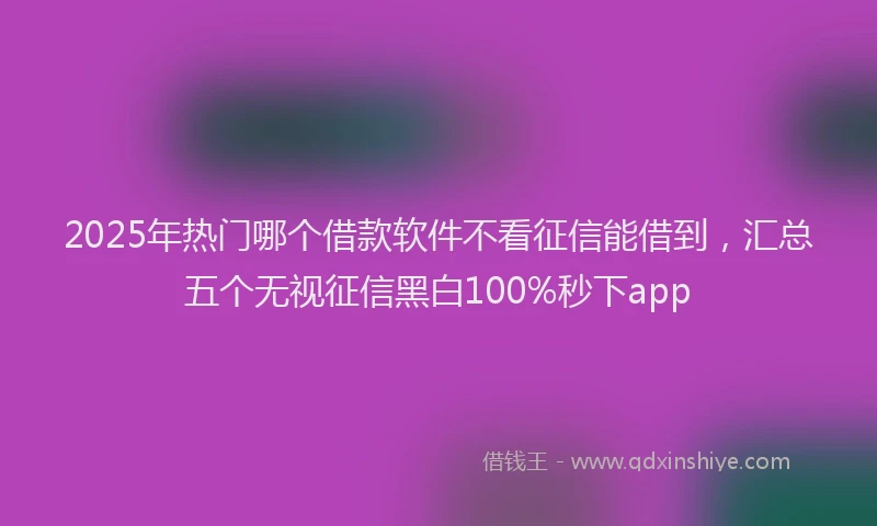 2025年热门哪个借款软件不看征信能借到，汇总五个无视征信黑白100%秒下app
