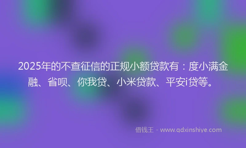 2025年的不查征信的正规小额贷款有：度小满金融、省呗、你我贷、小米贷款、平安i贷等。