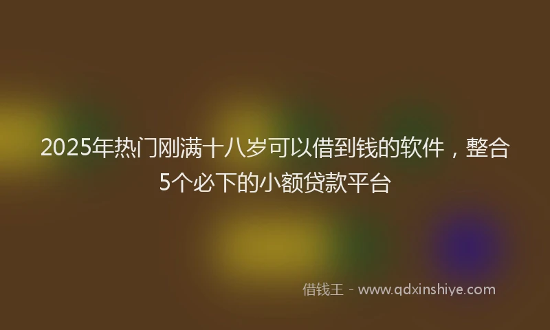 2025年热门刚满十八岁可以借到钱的软件，整合5个必下的小额贷款平台