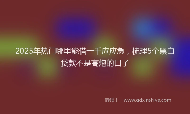 2025年热门哪里能借一千应应急，梳理5个黑白贷款不是高炮的口子