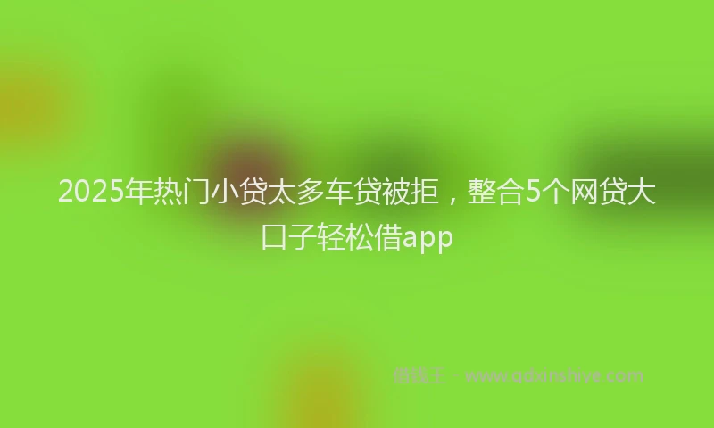 2025年热门小贷太多车贷被拒，整合5个网贷大口子轻松借app