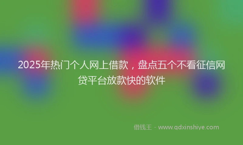 2025年热门个人网上借款，盘点五个不看征信网贷平台放款快的软件
