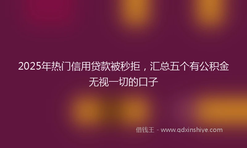 2025年热门信用贷款被秒拒，汇总五个有公积金无视一切的口子