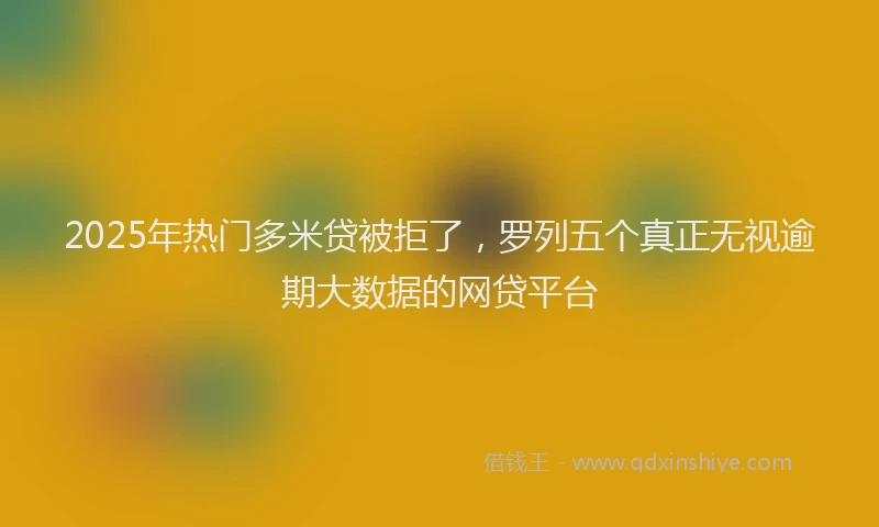 2025年热门多米贷被拒了，罗列五个真正无视逾期大数据的网贷平台