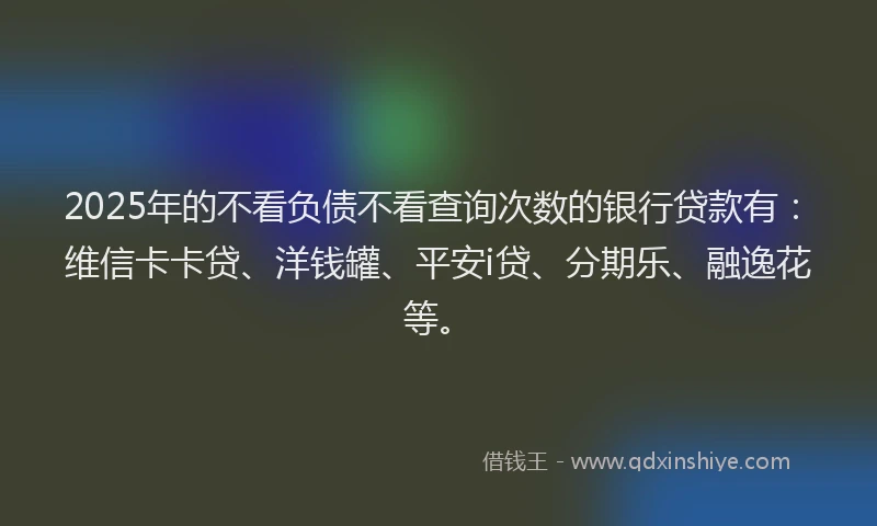 2025年的不看负债不看查询次数的银行贷款有：维信卡卡贷、洋钱罐、平安i贷、分期乐、融逸花等。