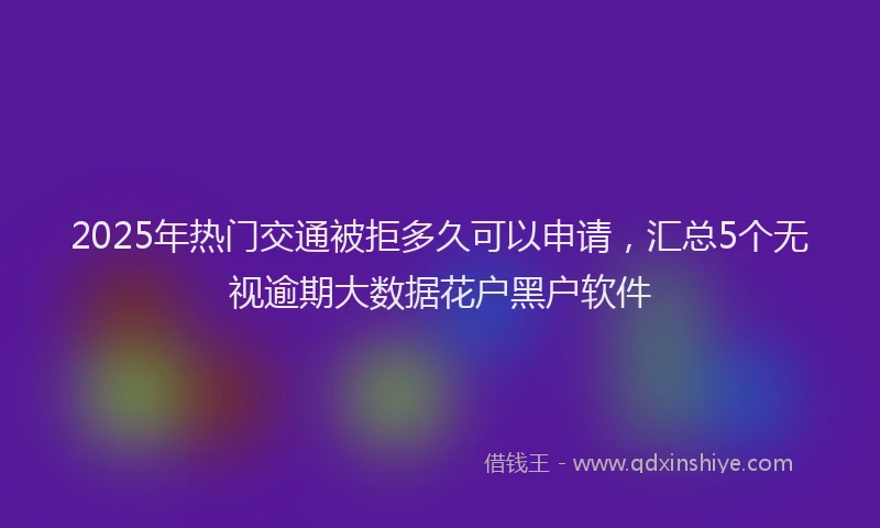 2025年热门交通被拒多久可以申请，汇总5个无视逾期大数据花户黑户软件