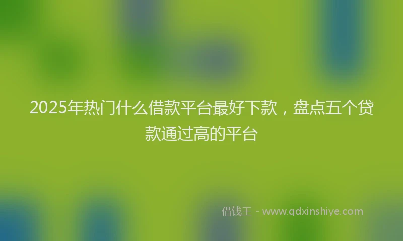 2025年热门什么借款平台最好下款，盘点五个贷款通过高的平台