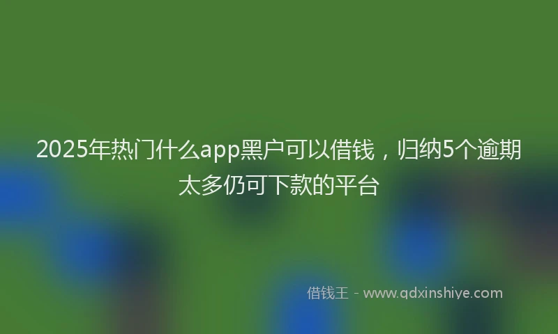 2025年热门什么app黑户可以借钱，归纳5个逾期太多仍可下款的平台