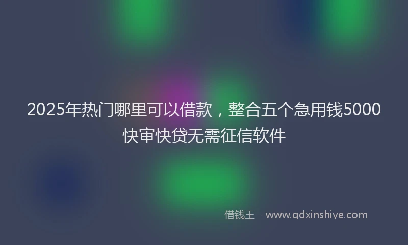 2025年热门哪里可以借款，整合五个急用钱5000快审快贷无需征信软件