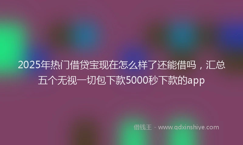 2025年热门借贷宝现在怎么样了还能借吗，汇总五个无视一切包下款5000秒下款的app