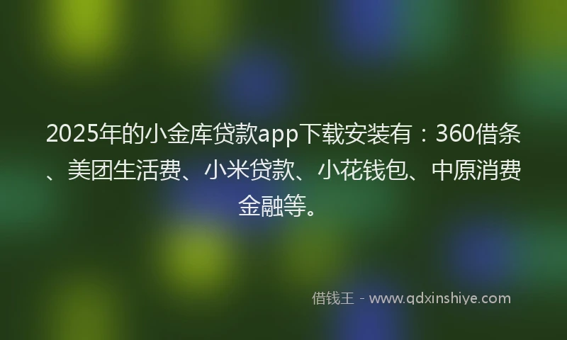 2025年的小金库贷款app下载安装有：360借条、美团生活费、小米贷款、小花钱包、中原消费金融等。