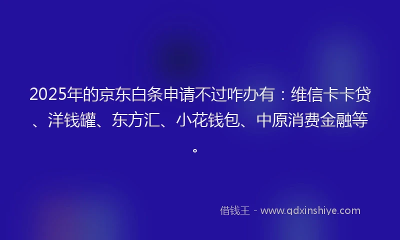 2025年的京东白条申请不过咋办有：维信卡卡贷、洋钱罐、东方汇、小花钱包、中原消费金融等。