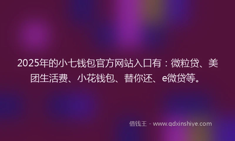 2025年的小七钱包官方网站入口有：微粒贷、美团生活费、小花钱包、替你还、e微贷等。