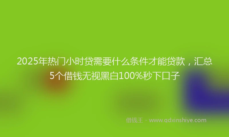 2025年热门小时贷需要什么条件才能贷款，汇总5个借钱无视黑白100%秒下口子