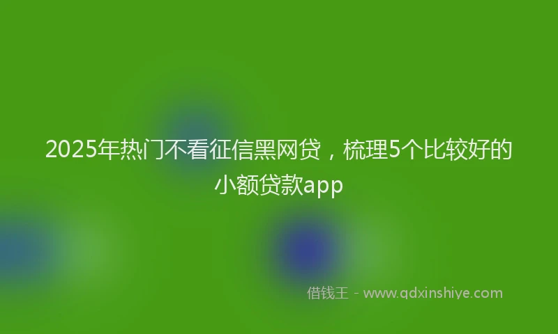 2025年热门不看征信黑网贷，梳理5个比较好的小额贷款app