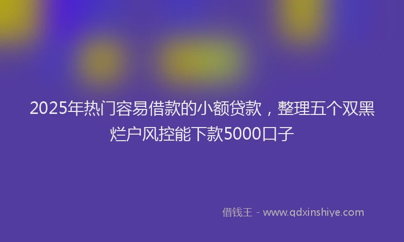 2025年热门容易借款的小额贷款，整理五个双黑烂户风控能下款5000口子
