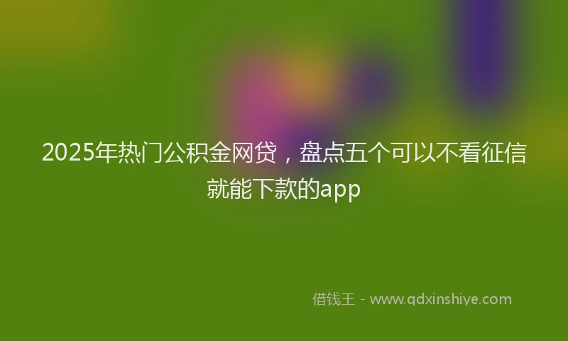 2025年热门公积金网贷，盘点五个可以不看征信就能下款的app