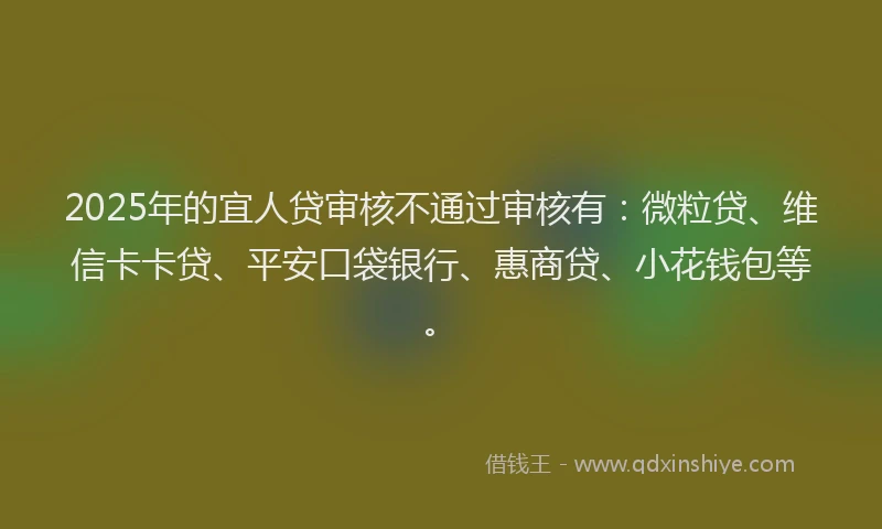 2025年的宜人贷审核不通过审核有：微粒贷、维信卡卡贷、平安口袋银行、惠商贷、小花钱包等。