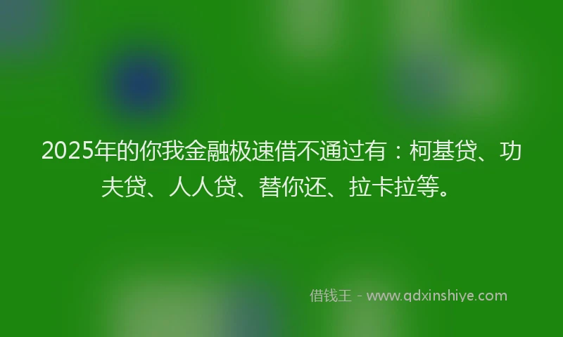 2025年的你我金融极速借不通过有：柯基贷、功夫贷、人人贷、替你还、拉卡拉等。