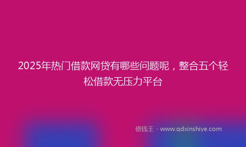 2025年热门借款网贷有哪些问题呢，整合五个轻松借款无压力平台