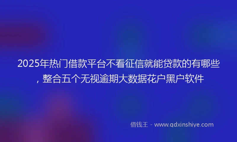 2025年热门借款平台不看征信就能贷款的有哪些，整合五个无视逾期大数据花户黑户软件