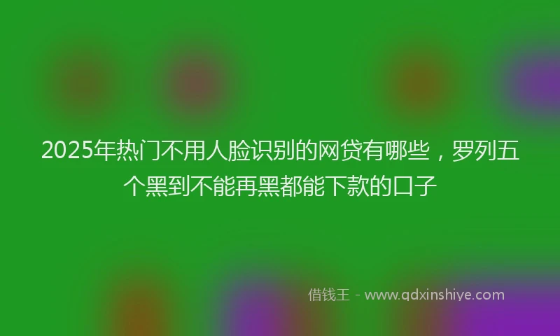 2025年热门不用人脸识别的网贷有哪些，罗列五个黑到不能再黑都能下款的口子
