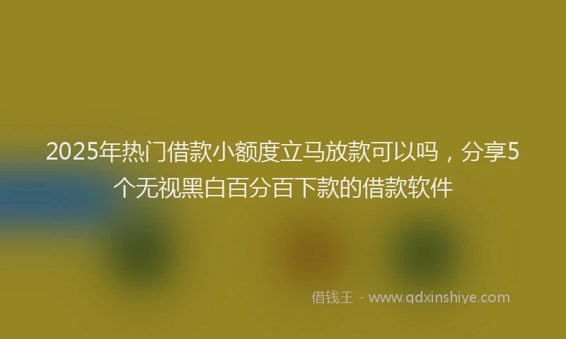 2025年热门借款小额度立马放款可以吗，分享5个无视黑白百分百下款的借款软件