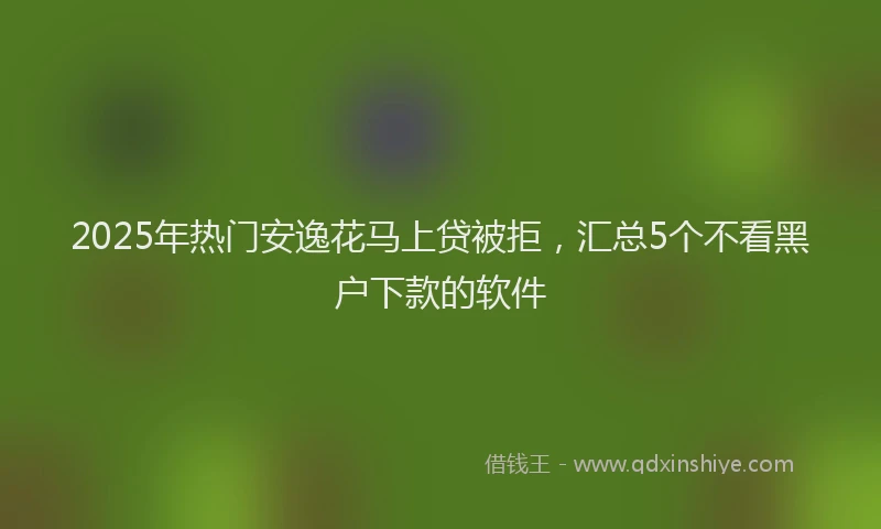 2025年热门安逸花马上贷被拒，汇总5个不看黑户下款的软件