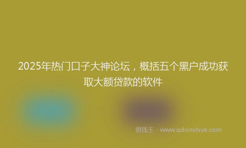 2025年热门口子大神论坛，概括五个黑户成功获取大额贷款的软件