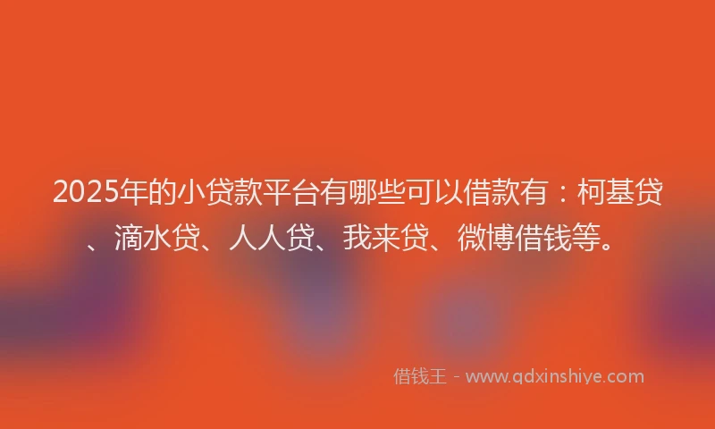 2025年的小贷款平台有哪些可以借款有：柯基贷、滴水贷、人人贷、我来贷、微博借钱等。