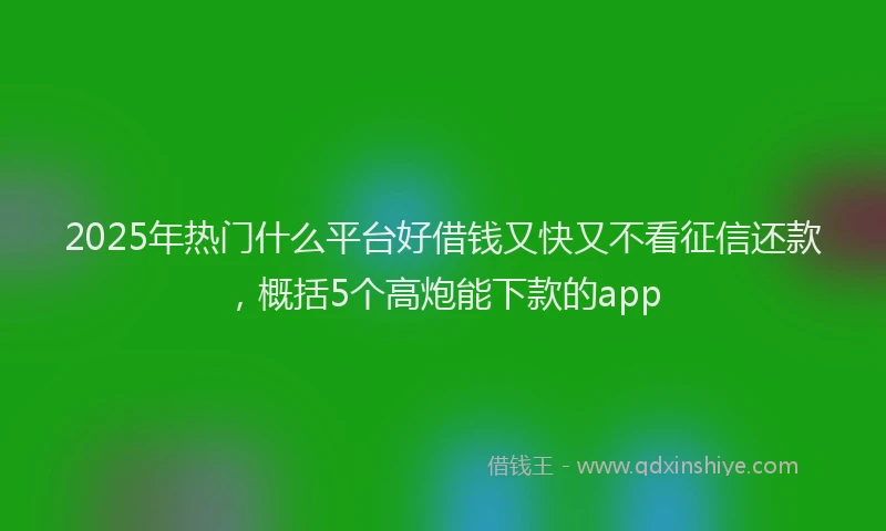 2025年热门什么平台好借钱又快又不看征信还款，概括5个高炮能下款的app