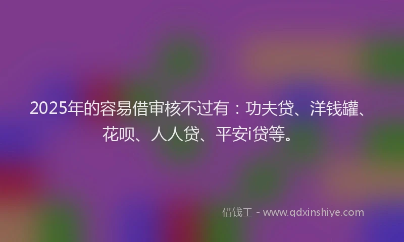 2025年的容易借审核不过有：功夫贷、洋钱罐、花呗、人人贷、平安i贷等。