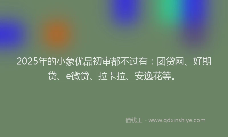 2025年的小象优品初审都不过有：团贷网、好期贷、e微贷、拉卡拉、安逸花等。