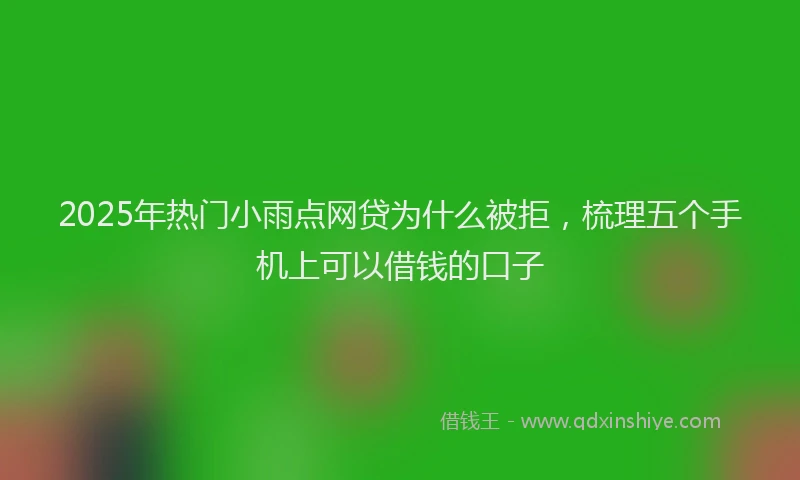 2025年热门小雨点网贷为什么被拒，梳理五个手机上可以借钱的口子