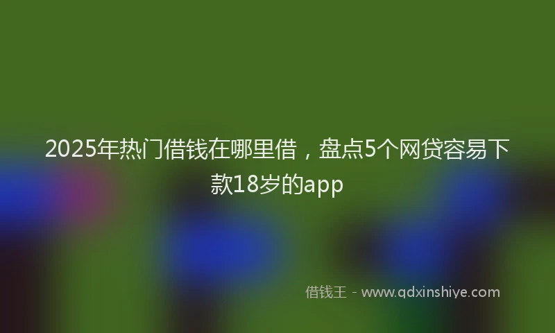 2025年热门借钱在哪里借，盘点5个网贷容易下款18岁的app