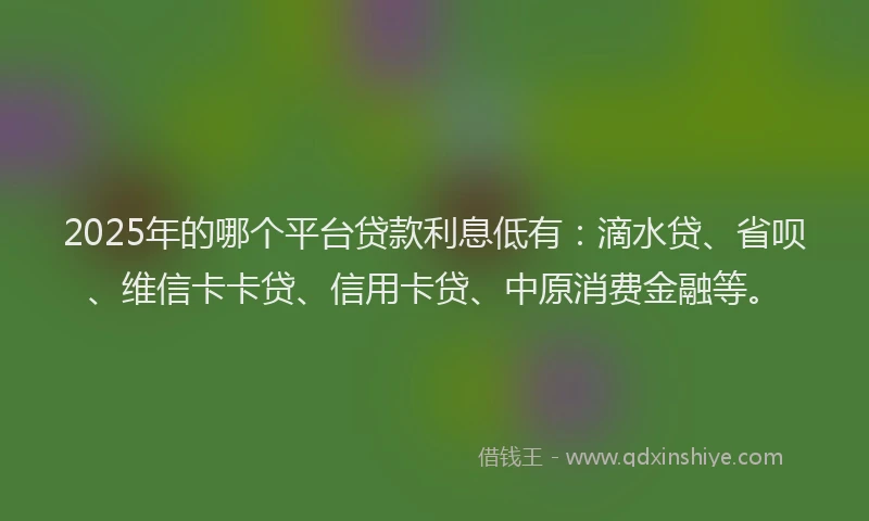 2025年的哪个平台贷款利息低有：滴水贷、省呗、维信卡卡贷、信用卡贷、中原消费金融等。