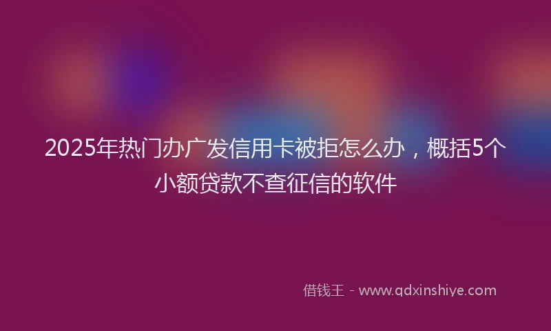 2025年热门办广发信用卡被拒怎么办，概括5个小额贷款不查征信的软件