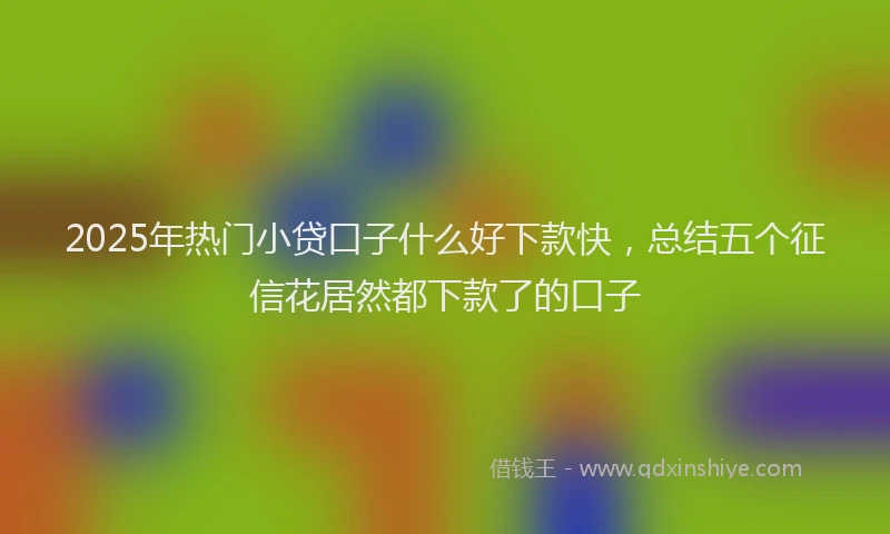 2025年热门小贷口子什么好下款快，总结五个征信花居然都下款了的口子