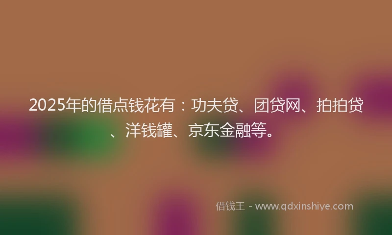 2025年的借点钱花有：功夫贷、团贷网、拍拍贷、洋钱罐、京东金融等。